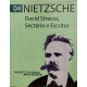 David Strauss, Sectário e Escritor, Nietzsche